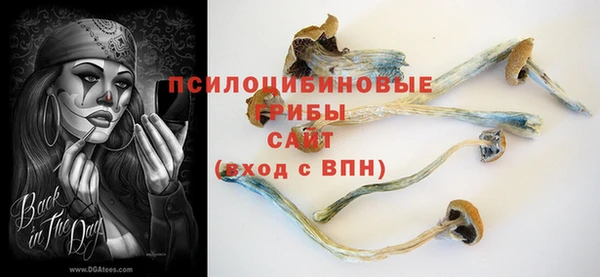 крисы Абинск