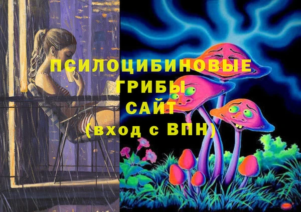 молекула духа Аркадак