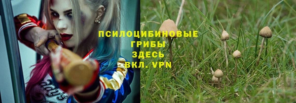 крисы Абинск