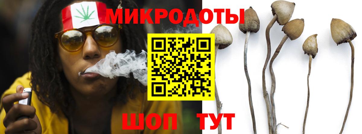 Галлюциногенные грибы MAGIC MUSHROOMS  Вход с VPN  закладка  Псилоцибиновые грибы GOLDEN TEACHER  Салават 